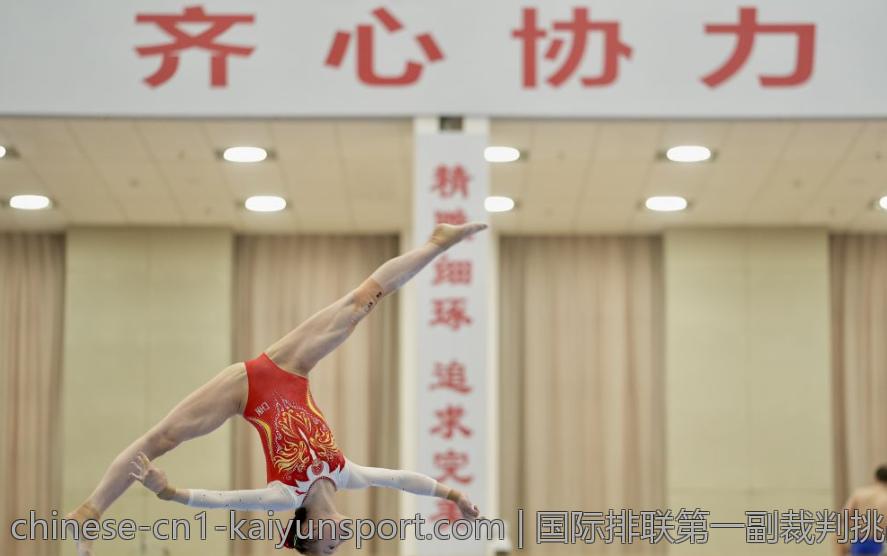 国际排联第一副裁判挑战规则中的关键技术与判断依据