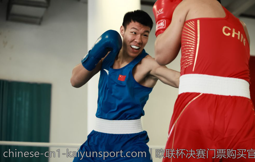 欧联杯决赛门票购买官网全站指南与注意事项